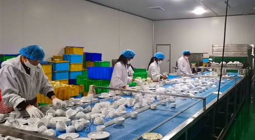山東菏澤強化餐飲具衛生監管，筑牢群眾用餐安全防線